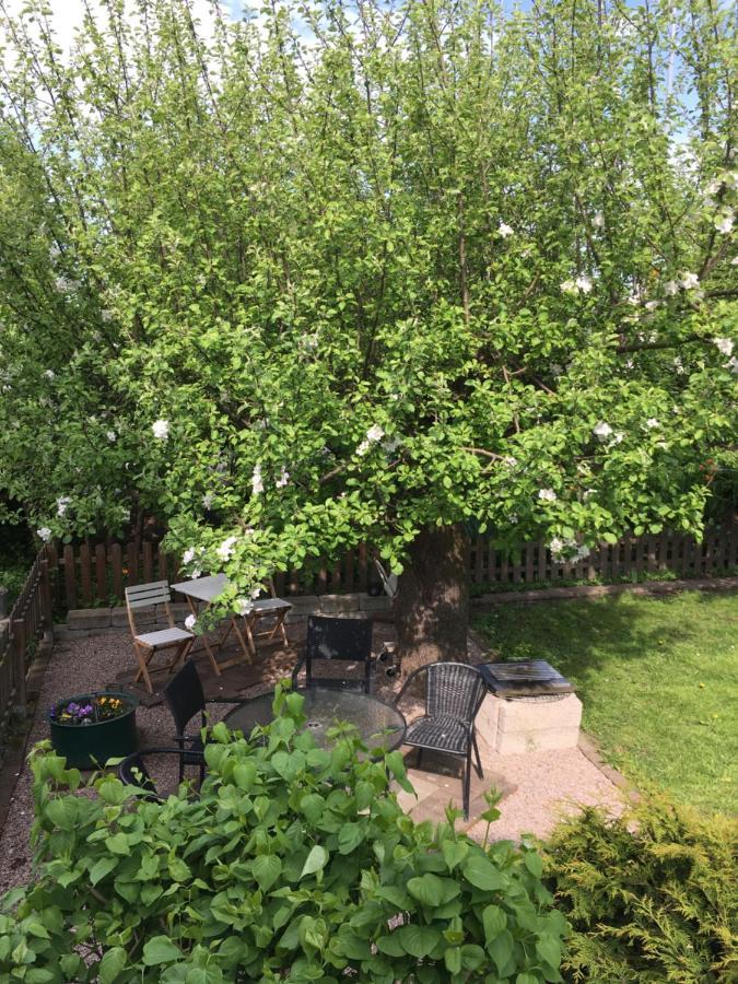 Vivans Bed And Self Catering Kristianstad Luaran gambar